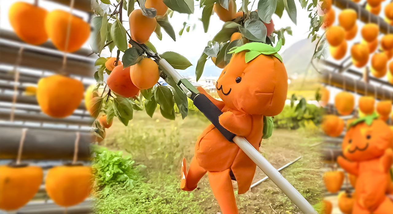 甲州市立図書館